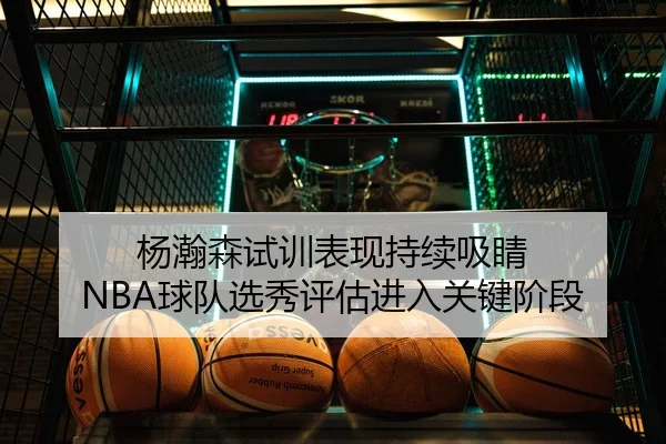 杨瀚森试训表现持续吸睛 NBA球队选秀评估进入关键阶段